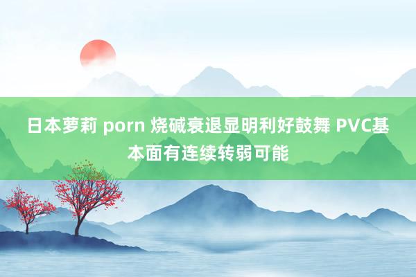 日本萝莉 porn 烧碱衰退显明利好鼓舞 PVC基本面有连续转弱可能