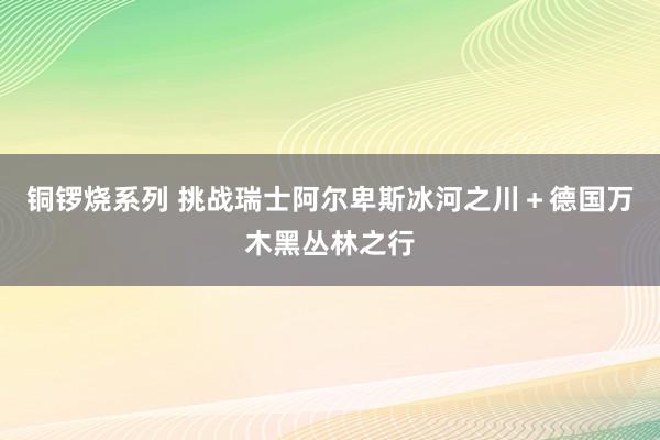 铜锣烧系列 挑战瑞士阿尔卑斯冰河之川＋德国万木黑丛林之行