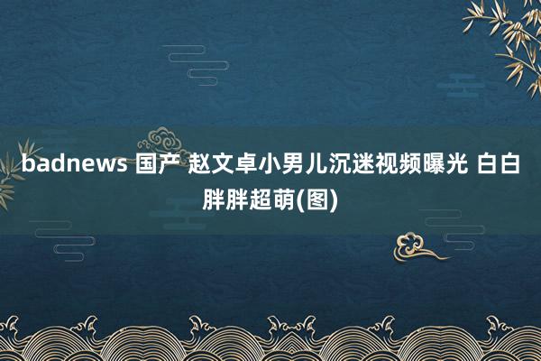 badnews 国产 赵文卓小男儿沉迷视频曝光 白白胖胖超萌(图)